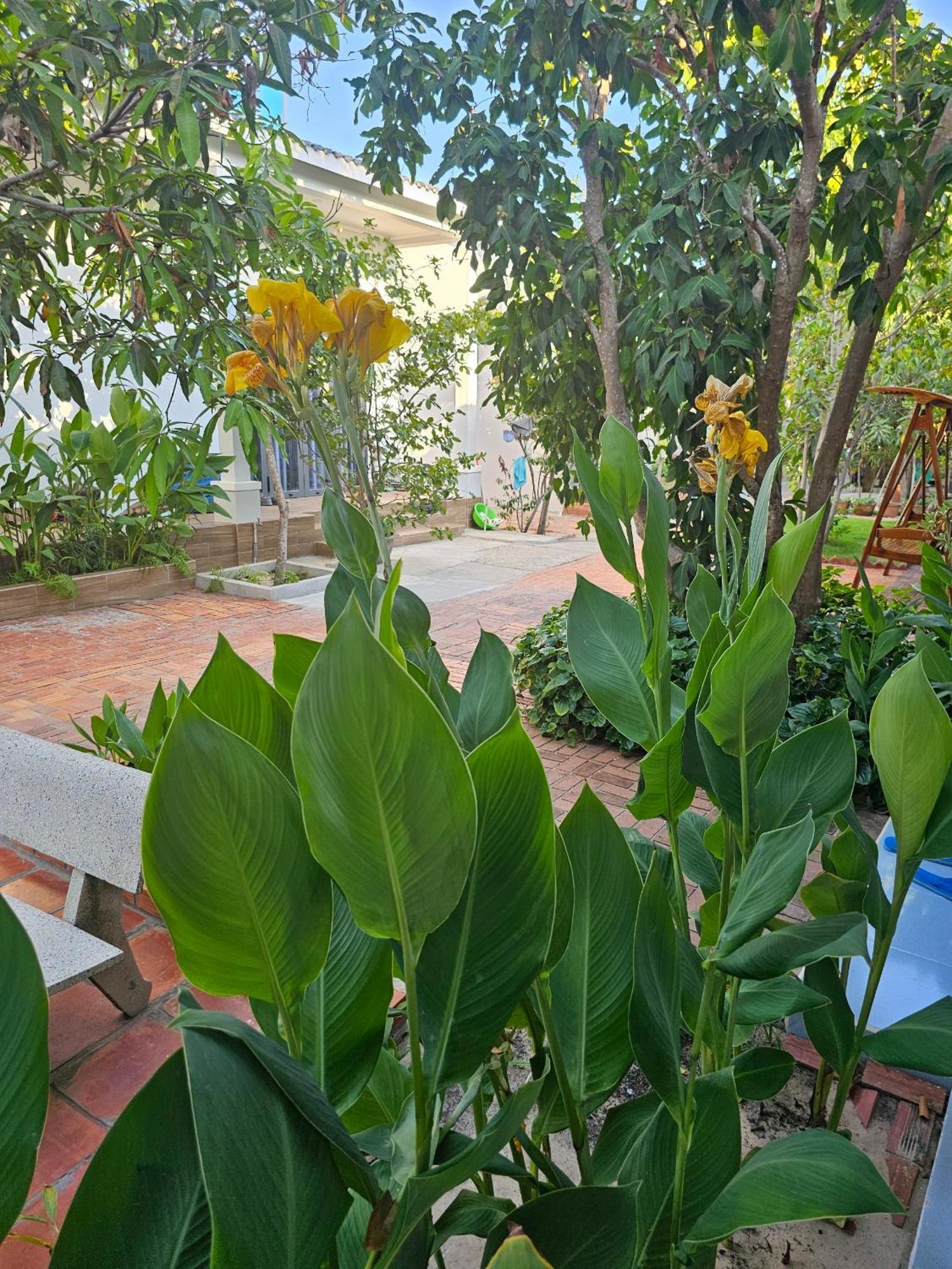 Cay Phuong Guesthouse Mui Ne Esterno foto